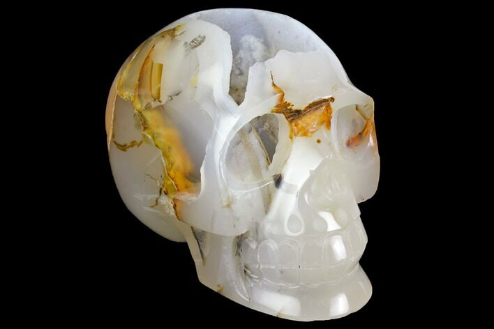Polished Agate Skull with Druzy Quartz Crystal Pocket #148107